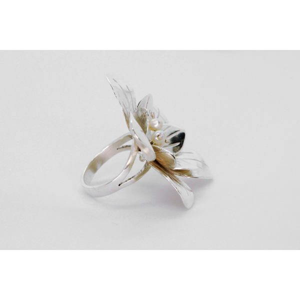 Anel Cerejeira em Flor